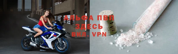 стаф Артём