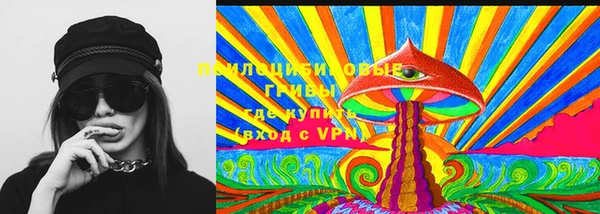 стаф Магадан
